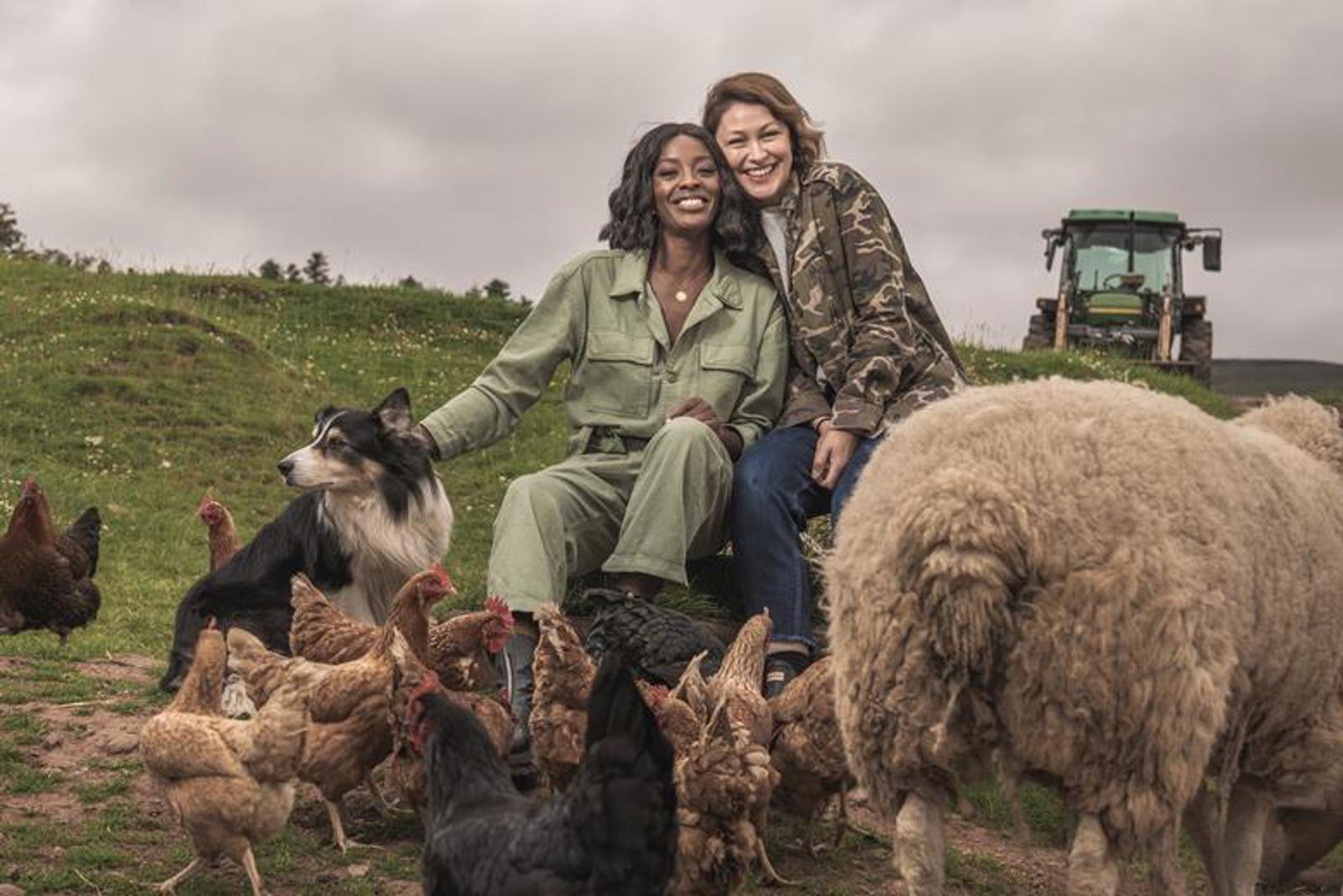 W Commissions Firecracker For Brand New Emma Willis and AJ Odudu Series